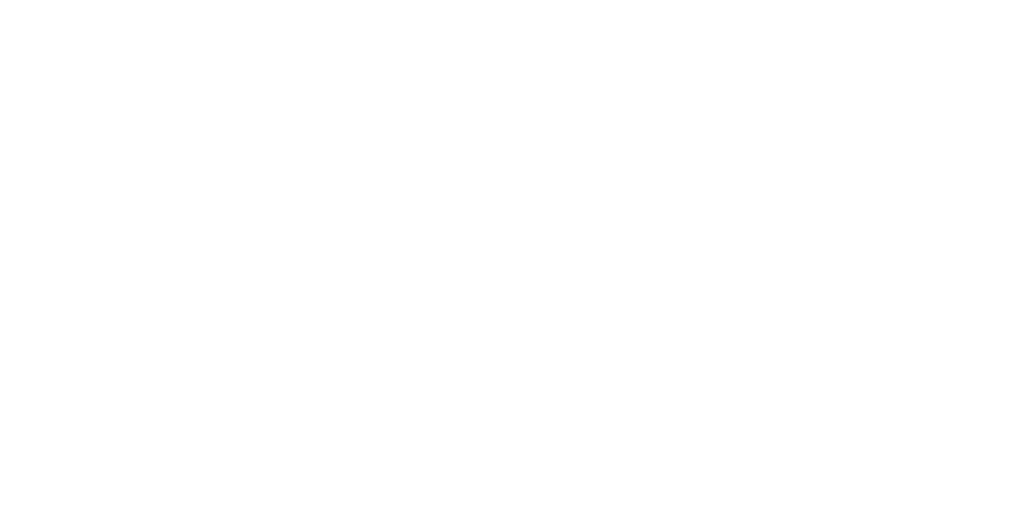 Selltim logo