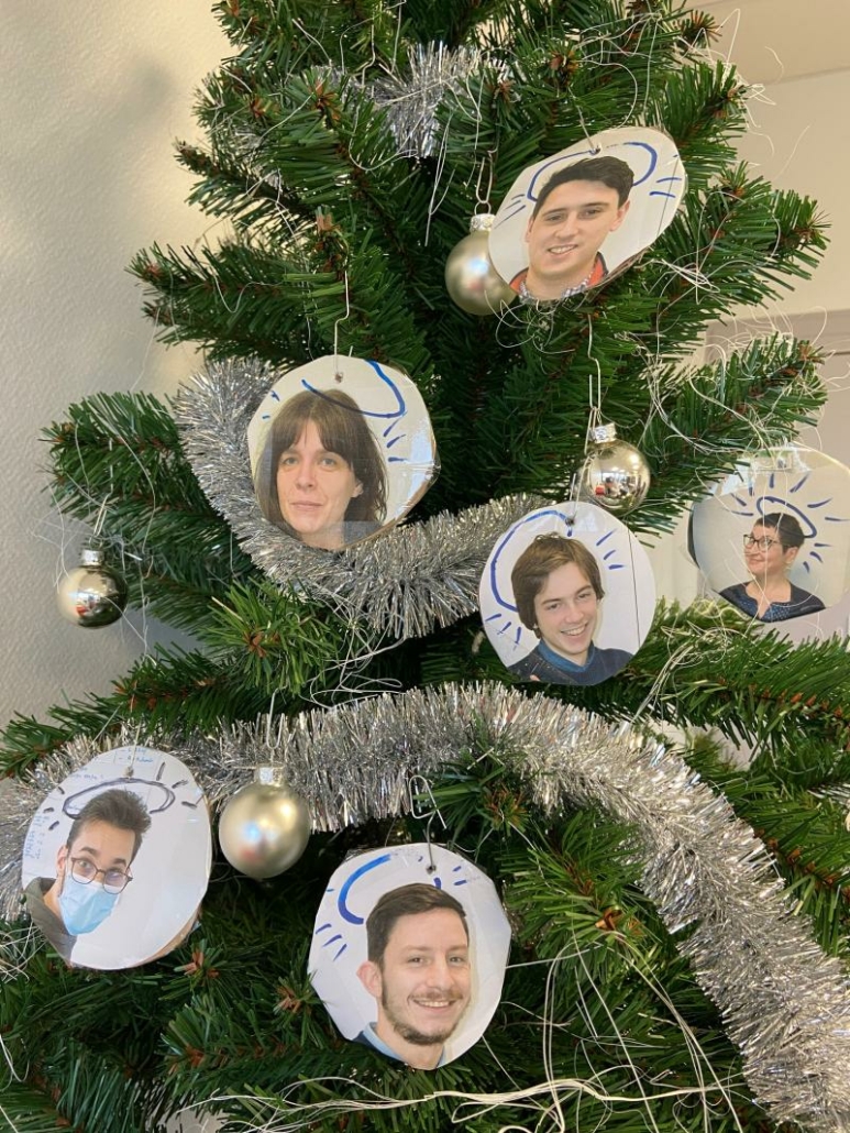 sapin